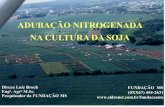 ADUBAÇÃO NITROGENADA NA CULTURA DA SOJAbrasil.ipni.net/ipniweb/region/brasil.nsf... · ANÁLISES REALIZADAS ANO AGRÍCOLA 1999/00. DATA Tipo Anál. No amostras V. Aprox. 06/99 –