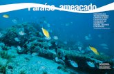 MAR AZUL Paraíso ameaçado - edhorizonte.com.br · MAR AZUL> 34 HORIZONTE GEOGRÁFICO HORIZONTE GEOGRÁFICO 35 As águas de Búzios (RJ) são alimentadas por correntes oceânicas