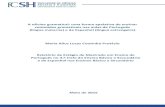 Modelo formal de apresentação de teses e dissertações na FCSH“RIO de MESTRADO... · Relatório de Estágio apresentado para cumprimento dos requisitos necessários à obtenção