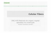 ENG K49 Materiais de origem vegetal aplicados na construção CelularFibres 151.pdf · Materiais Fitogêneos • Materiais fitogêneos (de origem vegetal) – Lignocelulósicos -