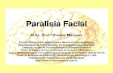 Paralisia Facial - Fonovim · 2) Responsáveis pela inervação das glândulas lacrimal, ... músculos da face acarreta desfiguração e comprometimento da expressão facial, fundamental