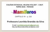Professora Leonilda Brandão da Silva · Como nos osteíctes, o tubo digestório comunica-se como o exterior pelos ânus, exceto no ornitorrinco e na ... se liga por meio de uma placenta.