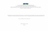 UNIVERSIDADE DE BRASÍLIA FACULDADE DE EDUCAÇÃO …repositorio.unb.br/bitstream/10482/8097/1/2010_AnaAmeliaNeri... · estudo de caso, utilizando-se como técnicas questionário,