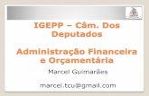 IGEPP Câm. Dos Deputados Administração Financeira e ... · Especialização em Administração Financeira (FGV) e em Desenvolvimento de Sistemas Orientados a Objeto (UnB) ... MENDES,