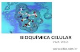Apresentação do PowerPoint - wbio.com.brwbio.com.br/wp-content/.../2016/08/Aula-Bioquímica-celular-Wbio.pdf · fundamental para as reações bioquímicas celulares: Hidrólise