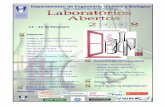 Departamento de Engenharia Química e Biológicadeq.ist.utl.pt/~deq.daemon/visitantes/Lab2008/openlabs.pdf · O balão contém uma solução de cloreto de cobalto e cloreto de sódio.