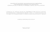 Bertholletia excelsa Humb. & Bonpl. (Lecythidaceae ...livros01.livrosgratis.com.br/cp059077.pdf · Programa de Pós-Graduação em Biologia Tropical e Recursos Naturais ... castanheira-do-Brasil,