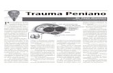 Membro da Sociedade Americana de Urologia peniano.pdf · trauma peniano, preci- samos pnmeiro, conhecer um Veia dorsal profunda área rompida. ... como curvatura peniana e dé- ficit
