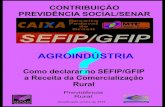 AGROINDÚSTRIA PRODUTOR RURAL PESSOA FÍSICA ... - …senar-pe.com.br/2014/wp-content/uploads/2013/11/Contribuicao... · e DEFINIÇÃO - Agroindústria é o produtor rural pessoa