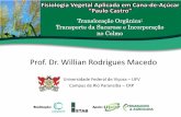 Prof. Dr. Willian Rodrigues Macedo - stab.org.br · Transporte bidirecional não ocorre Gasto de energia pequeno Mecanismos de translocação ... Transporte para tecido-dreno requer