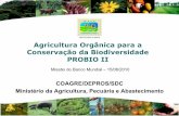 Agricultura Orgânica para a Conservação da Biodiversidade ... · boas práticas de manejo para extrativismo sustentável orgânico. Valor: R$ 96.000,00 (proposta de ... grupos