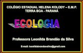 Professora Leonilda Brandão da Silva · •ECOLOGIA: É a ciência que estuda como os seres vivos se relacionam entre si e com o meio ambien-te em que vivem e quais as consequências
