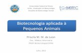 Biotecnologia aplicada à Pequenos Animais - ufpel.edu.br · –estágio da vida do animal (lactantes, crescimento, reprodução) ... (caninos e felinos selvagens); Reprodução de