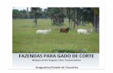 FAZENDAS PARA GADO DE CORTE - tabocao.com.brtabocao.com.br/fazenda/1.pdf · FAZENDAS PARA GADO DE CORTE Margens do Rio Araguaia / Rod. Transamazônica Araguatins/Estado do Tocantins.