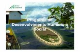 Programa dePrograma de Desenvolvimento Humano e Social · ambiental • 8. Estabelecer ... •Disseminação da cultura empreendedora no meio ... • Produção de mamona e feijão