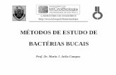 MÉTODOS DE ESTUDO DE BACTÉRIAS BUCAIS - icb.usp.br · Métodos de detecção bacteriana Teste Vantagens Desvantagens Microscopia campo escuro e contraste de fases Detecta formas,