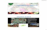 PAITER SURUÍ - forest-trends.org · 6/16/2014 3 A Associação Metareilá do Povo Indígena Suruí, fundada em 14/02/1989, atua na defesa e preservação do patrimônio cultural