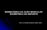 BIOMECÂNICA DA AÇÃO MUSCULAR EXCÊNTRICA NO … · EXCÊNTRICA NO ESPORTE Prof. Dr. Guanis de Barros Vilela Junior. Considerações iniciais EXCÊNTRICA CONCÊNTRICA ISOMÉTRICA