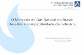 O Mercado de Gás Natural no Brasil: Desafios à competitividade … · 20 de Junho Santa Gertrudes / SP O Mercado de Gás Natural no Brasil: Desafios à competitividade da indústria