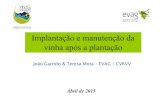 Implantação e manutenção da vinha após a plantação · João Garrido & Teresa Mota – EVAG / CVRVV Abril de 2015 Implantação e manutenção da vinha após a plantação