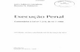 Execução Penal · ... DO TRABALHO INTERNO, 88 Art. 31 ... DO CONSEUIO PENITENCIÁRIO, 238 Art, 69 ... 75.1 Direção do estabelecimento penal, 246 Art. 76