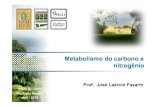 Metabolismo do carbono e nitrogênio - Universidade de São Paulo Carbono e... · Assimilação de N depende da atividade da enzima redutase nitrato-Mo - deficiência de Mo acumula