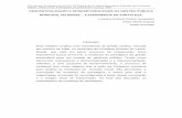 Descentralizacao e intersetorialidade no Brasilunpan1.un.org/intradoc/groups/public/documents/clad/unpan003743.pdf · burocrática para um modelo de gerência pública. Tendo como