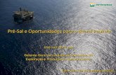 Pré-Sal e Oportunidades para o Litoral Paulistaenergia.sp.gov.br/a2sitebox/arquivos/documentos/244.pdf · Logística (US$ 17,4 bi) e Manutenção e Infraestrutura (US$ 20,6 bi) ...