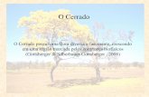 O Cerrado - ib.unicamp.br · • Fitofisionomia característica do bioma; • árvores baixas e retorcidas, arbustos, subarbustos e ervas; • plantas lenhosas possuem casca corticeira,