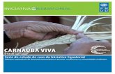 CARNAÚBA VIVA - Equator Initiative · A Carnaúba Viva atua no “Bioma Caatinga” no Nordeste do Brasil, nos Estado do Rio Grande do Norte e Ceará. A base do projeto é a árvore