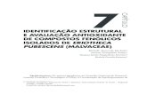 CAPÍTULO IDENTIFICAÇÃO ESTRUTURAL E AVALIAÇÃO …pdf.blucher.com.br.s3-sa-east-1.amazonaws.com/openaccess/... · principalmente no Planalto Central do Brasil, esse bioma ocupava