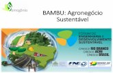 BAMBU: Agronegócio Sustentável - fne.org.br · Principais usos comerciais do bambu • Decoração: móveis, pisos, laminados, persianas, luminárias, artesanato em geral • Construção: