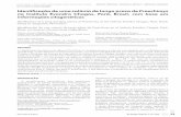 Identificação de uma colônia de longo prazo de Proechimys ...scielo.iec.gov.br/pdf/rpas/v2n1/pt_v2n1a07.pdf · características, as quais são tradicionalmente utilizadas na classificação