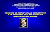 TECNICAS DE AMPLIFICAÇÃO REPRODUTIVA E DE …wp.ufpel.edu.br/zootecnia/files/2011/03/AULA-BIOTECNOLOGIA.pdf · Animais quiméricos são constituídos de células derivadas de origens
