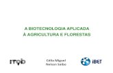 A BIOTECNOLOGIA APLICADA À AGRICULTURA E FLORESTAS biotecnologia aplicada à... · Qual é o papel da biotecnologia de plantas na resposta aos desafios globais? Photo credits: ...