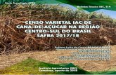 Governo do Estado de São Paulo Instituto Agronômico · coletadas na região Centro-Sul do Brasil informações de 234 unidades produtoras, responsáveis por 6,3 milhões de hectares