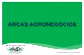 ARCAS AGRONEGÓCIOS - cmdrholambra.files.wordpress.com · A Arcas Agronegócios foi criada em 2010, com o objetivo de fornecer soluções estratégicas ao mercado do agronegócio