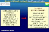 Recursos Minerais no Brasil: Problemas e Desafios · recursos minerais no brasil: problemas e desafios estratÉgia de desenvolvimento petrobras: problemas e desafios maior consumo