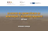 O CENTRO DE COMPETÊNCIA DE MINERAÇÃO E RECURSOS MINERAIS · de Mineração e Recursos Minerais Brasil-Alemanha. CONTATO: Pessoa de contato: Alessandro Colucci Gerente Centro de