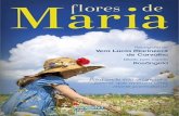 Flores de Maria - Espiritismo Brasil · 2016-01-26 · ficar no lugar deles. Depois, ... Não gosto de conversar sobre esse assunto. ... Titia sorriu e confirmou com a cabeça. Acordei