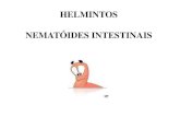 HELMINTOS NEMATÓIDES INTESTINAIS - Placeholder pagelineu.icb.usp.br/~farmacia/ppt/antigos/nematodios2011.pdf · -FILO NEMATHELMINTHES CLASSE NEMATODA-FILO PLATYHELMINTHES ... Adultos