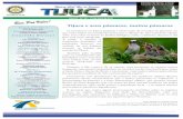 Tijuca e seus pássaros, muitos pássaros 2010-11 · Companheira Sonia Assis, 1ª Diretora de Protocolo, iniciou o protocolo da reunião e, na seqüência, ... Ao iniciar a Roda de