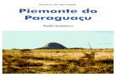 Perfil Piemonte do Paraguaçu - Secretaria de ... · de crescimento populacional inferior à média baiana: ... de acordo com o Censo Agropecuário do IBGE de 2006. O maior número