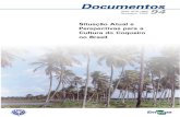 Situação Atual e Perspectivas para a Cultura do Coqueiro ...pccs.ipa.br/publicacoes_tecnicas/Coq01.pdf · 281.000 ha, distribuídos em cerca de 220.000 propriedades, 85% das quais