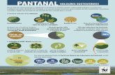 infografico-pantanal-solucoes-sustentaveisd3nehc6yl9qzo4.cloudfront.net/img/original/infografico_pantanal... · Por meio da implementaçäo do Pacto em Defesa das Cabeceiras do Pantanal,