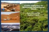 O meio ambiente e os fertilizantes fosfatados no Brasil · -variedade de idade e escalas de produção; ... -Presentes na rocha de origem e/ou gerados no processo - As, Ni, Cd, Pb,