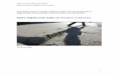 Relatório «Diagnóstico Social» do Bairro dos Pescadores em ... · BAIRRO DOS PESCADORES DE MATOSINHOS Relatório Preliminar «Diagnóstico Social» do Bairro 1 Contributos para