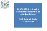 PERCURSO 8 Brasil: a diversidade cultural e os afro ... · diversidade cultural e os afro-brasileiros. ... política nacional articulada e contínua para a promoção da igualdade