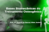 Bases Biomecânicas do Treinamento Osteogênico - cpaqv.org · densidade óssea em todo o corpo? ... Entregar no final da aula. Um casal de idosos, sabendo dos benefícios do treinamento