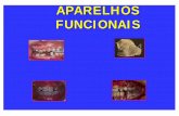 APARELHOS FUNCIONAIS - moroortodontia.com.brmoroortodontia.com.br/aulaspg/Aparelhos funcionais.pdf · Divide a cabeça óssea numa série de discretos componentes funcionais, cada